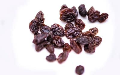 Mindfulness and a single raisin